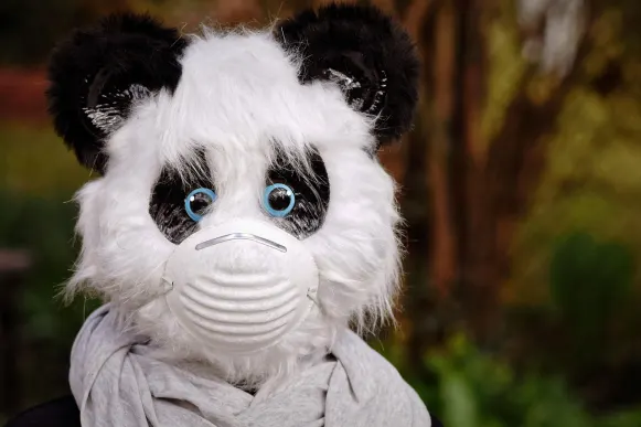 Kazino Cyber Bingo Pagalba